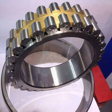Two double row cylindrical roller bearing