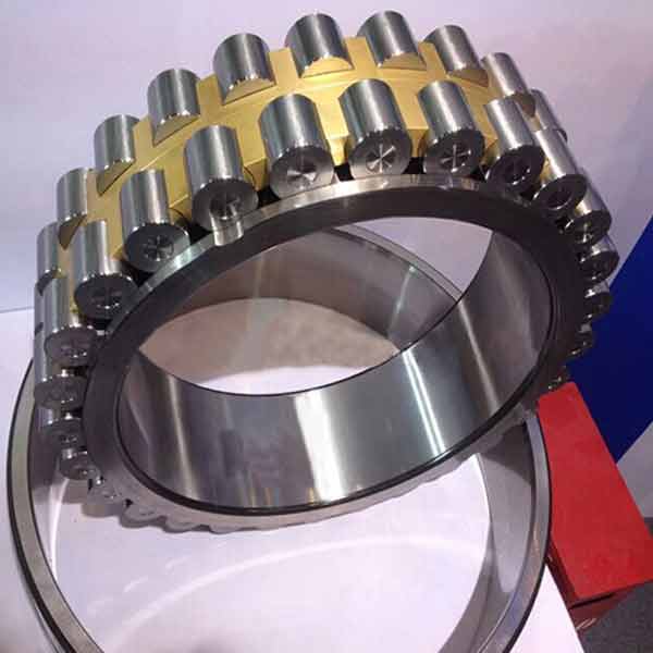 Two double row cylindrical roller bearing