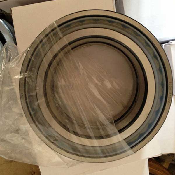 Cylindrical Roller Bearing SL18 2919