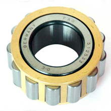 Full complement cylindrical roller bearing RSL18 2236 without out rings