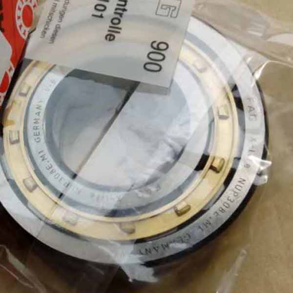 Cylindrical roller bearing NUP309 Cylindrical roller bearing NUP309