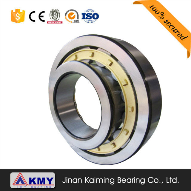 KMY double row cylindrical roller bearing NU1034