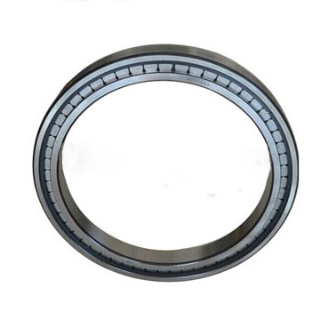 cylindrical roller bearing SL07080C5S1B