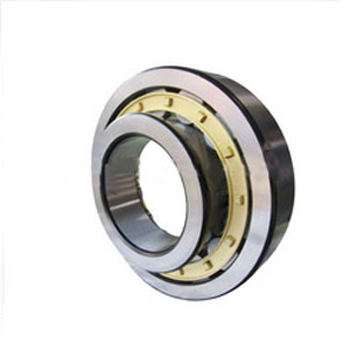 Cylindrical Roller Bearing NU244 Cylindrical Roller Bearing NU244