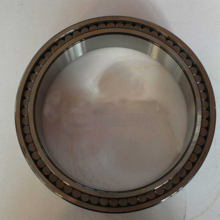 Cylindrical roller bearings SL024838