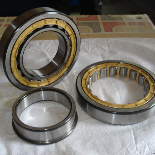 NSK bearing Cylindrical Roller Bearings N1012