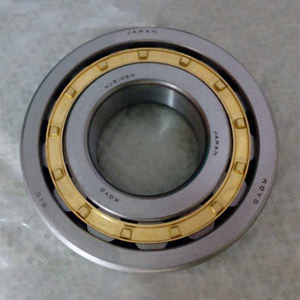 NTN 50X110X27 Cylindrical Roller Bearing NJ310