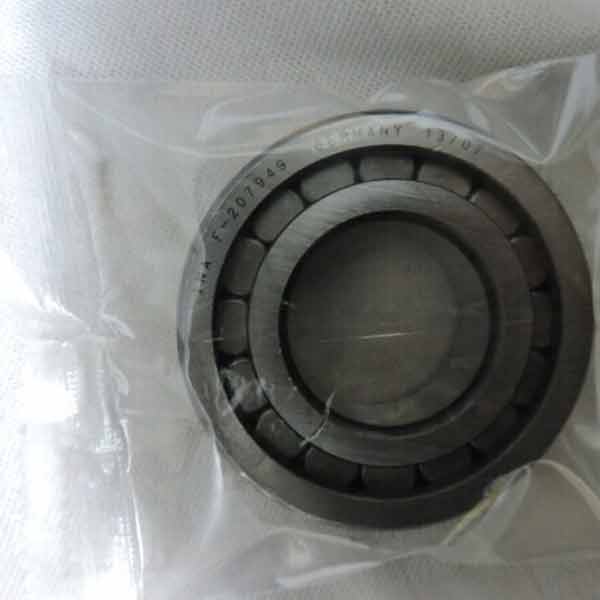 Needle Roller Bearing F-207949