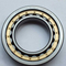 Large diameter bearing Cylindrical roller bearings NN3060
