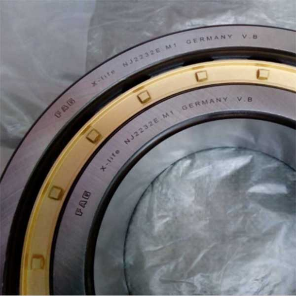 NTN Cylindrical Roller Bearing NJ 2232 with High Quality