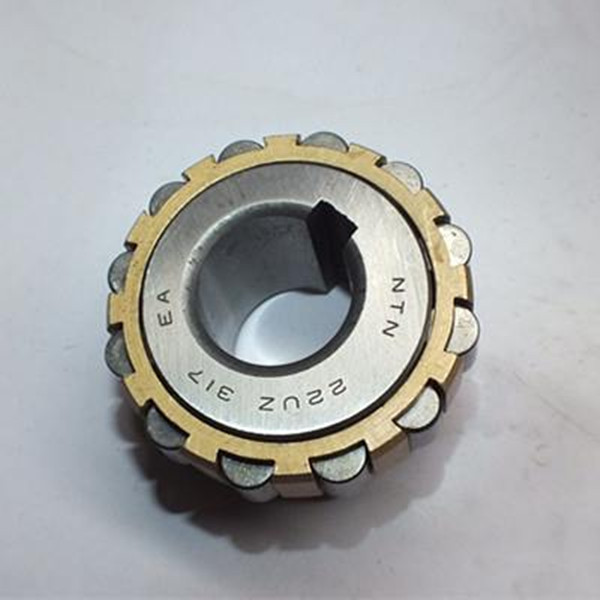 NTN 22UZ317 Double row Eccentrice roll bearing 22*58*32mm
