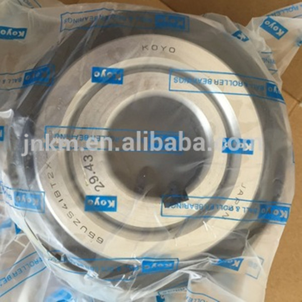 Koyo Double row Nylon cage 65UZS418T2X-SX + 29.43 - Eccentric bearing