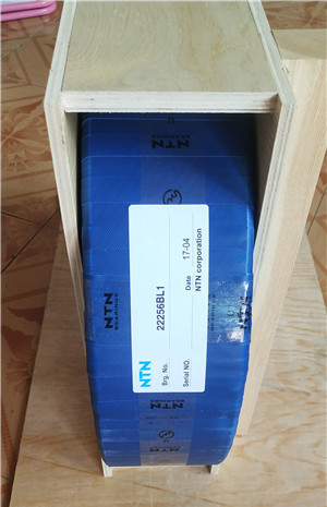 22256 BL1 double row Spherical roller bearing - NTN Aligning roller Bearing