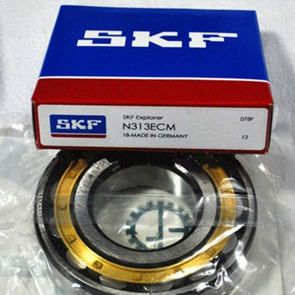 N 313 SKF cylindrical roller bearing with competitive price - SKF bearings