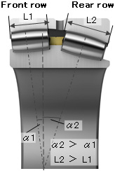 Cross-section of the developed product