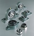 Bearing unit