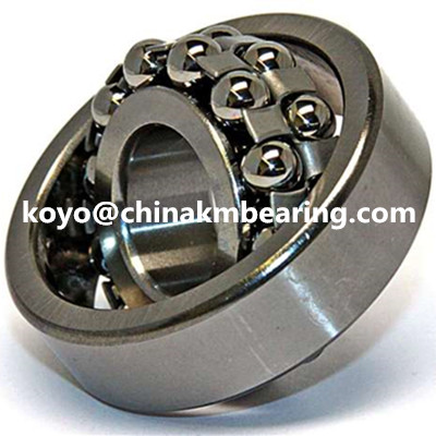 SKF 1304ETN9 Self-aligning ball bearing 20x52x15mm