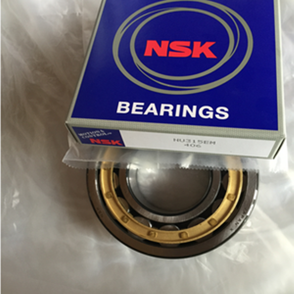 NSK cylindrical roller bearing NU315 EM with best price in stock 75*160*37mm